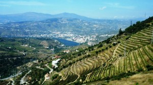 regua2