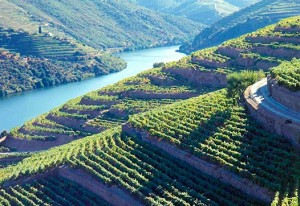 Vinhas do Peso da Régua